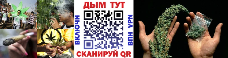 Шишки марихуана марихуана  Купить где  Черноголовка 